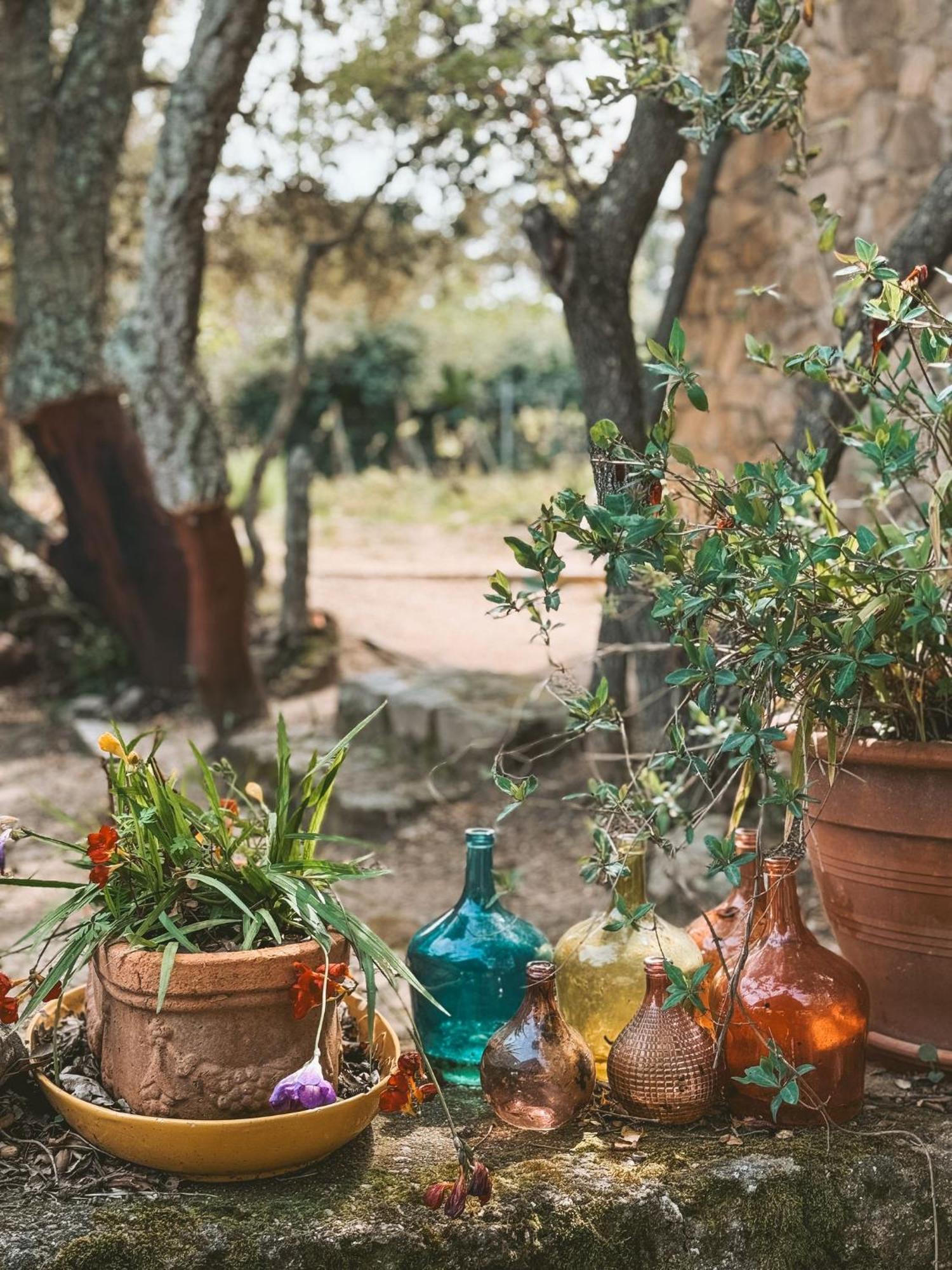 Agriturismo Il Muto Di Gallura Aggius Luaran gambar