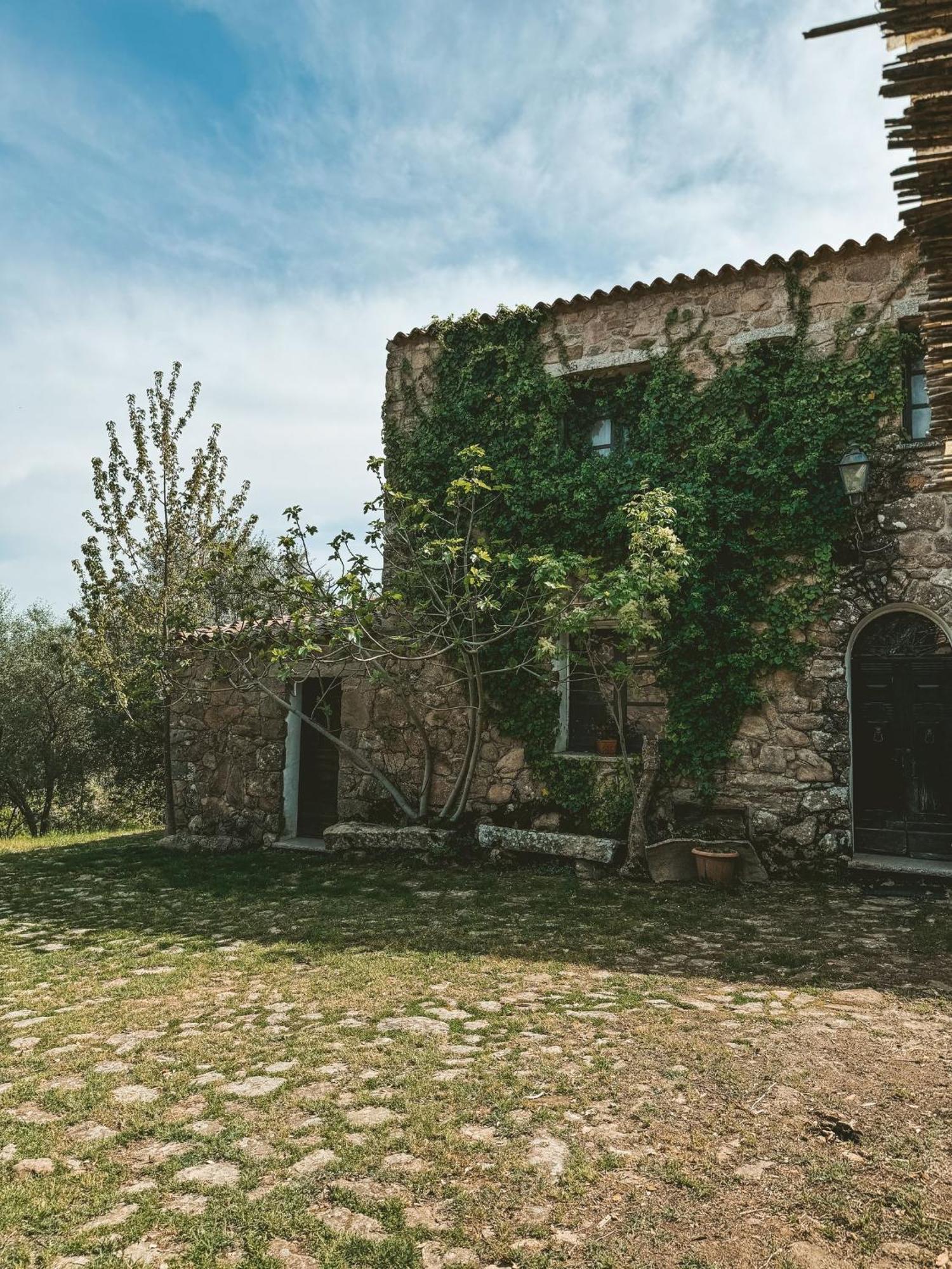 Agriturismo Il Muto Di Gallura Aggius Luaran gambar