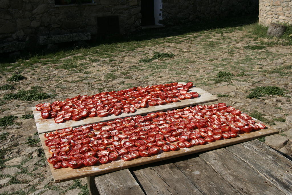 Agriturismo Il Muto Di Gallura Aggius Luaran gambar