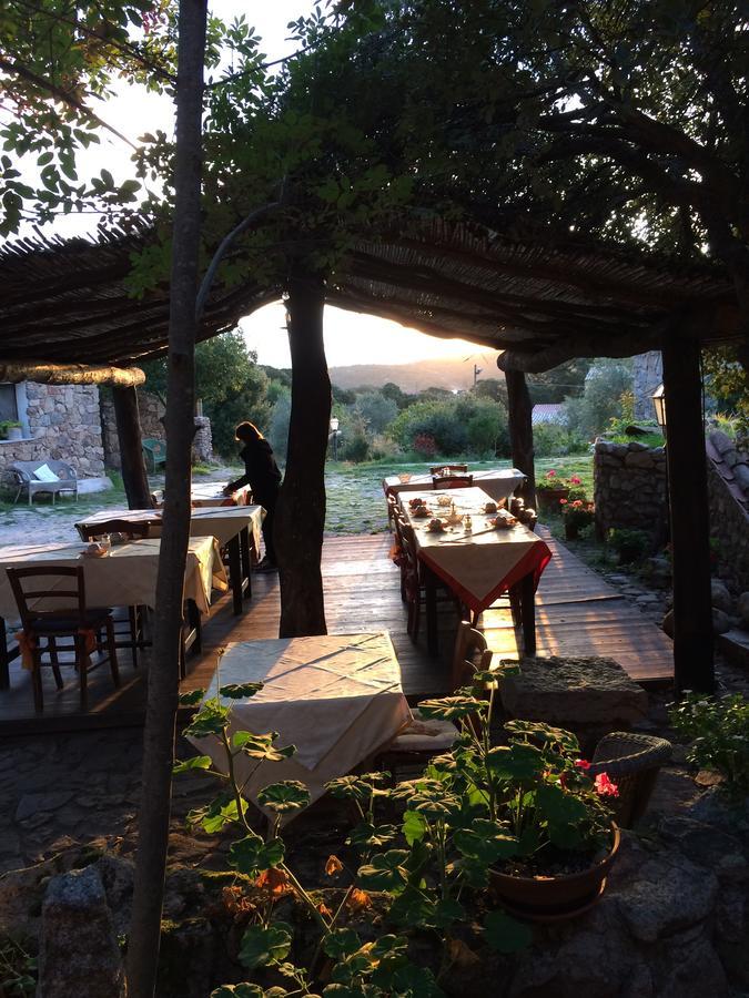 Agriturismo Il Muto Di Gallura Aggius Luaran gambar