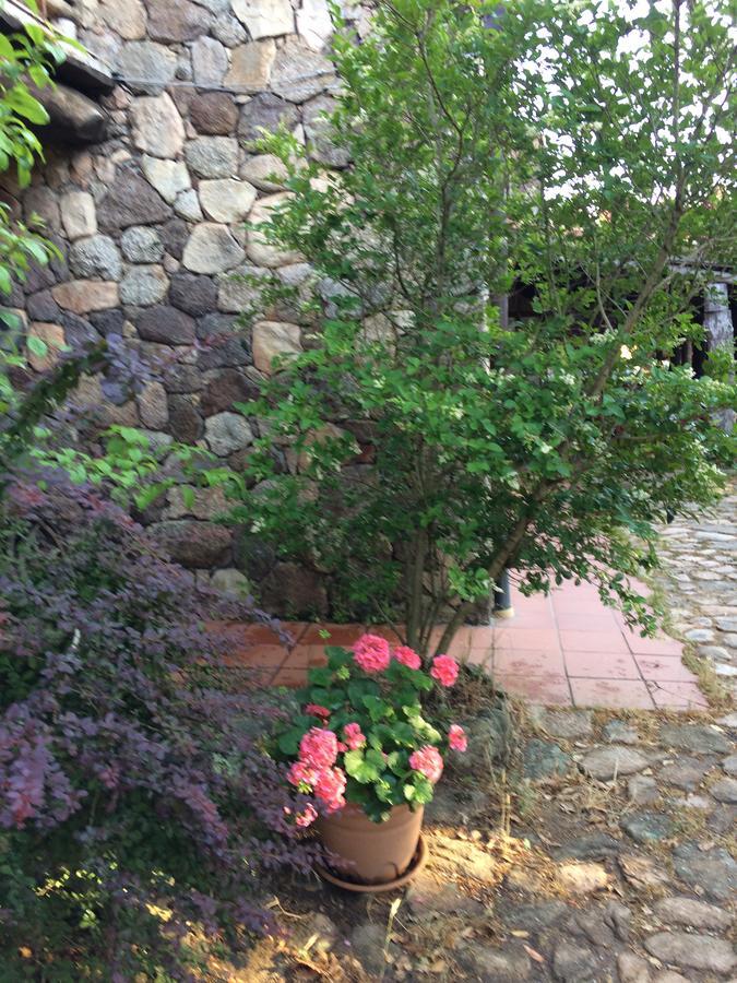 Agriturismo Il Muto Di Gallura Aggius Luaran gambar